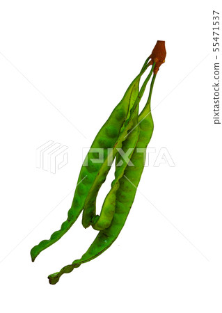 Stinky beans or Petai or Pete or Sato or Bitter 55471537