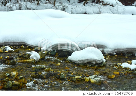 Snow scene Snow scene 55472709