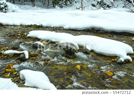 Snow scene Snow scene 55472712