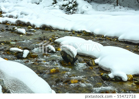 Snow scene Snow scene 55472718