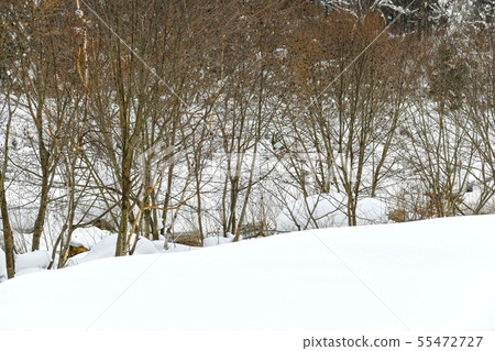 雪景 55472727