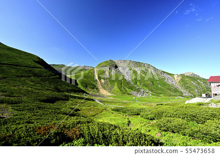 夏季的Norikuradake(拍攝地點:Norikura Tatamihira) 夏季的Norikuradake(拍攝地點:Norikura Tatamihira) 55473658