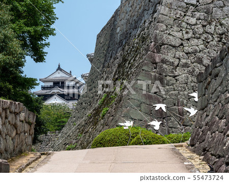 石垣和松山城 55473724