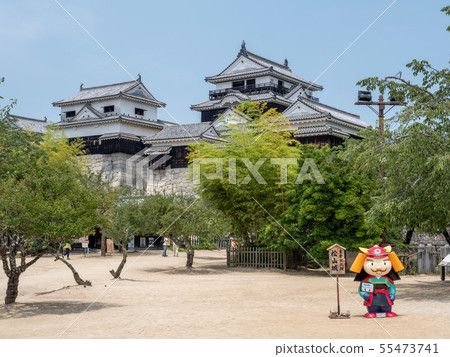 松山城在夏天 55473741