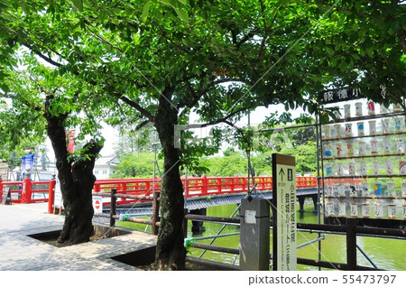 Town of Odawara Horihata Dori with red lanterns and red Gyubashi Town of Odawara Horihata Dori with red lanterns and red Gyubashi 55473797