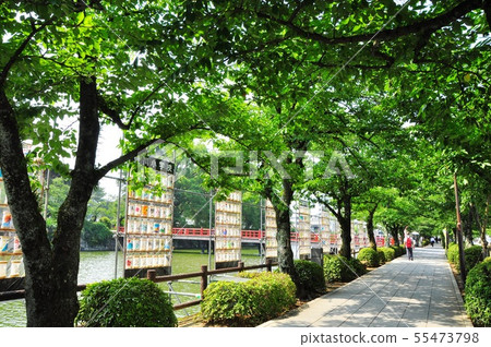 Town of Odawara Horidate street with lanterns Town of Odawara Horidate street with lanterns 55473798