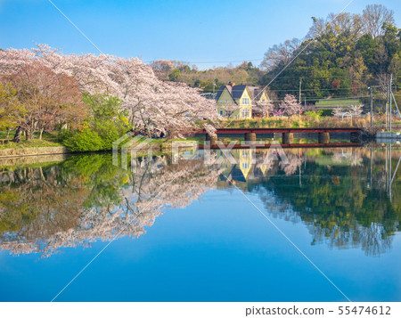 Spring watercolor 55474612