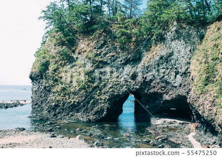 諾托半島的廈門 55475250