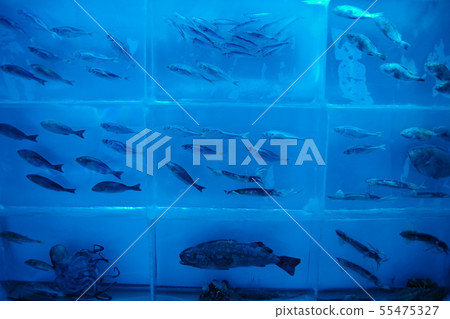 冰水族館Kesennuma雕塑 55475327