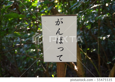 從Awashima神社的方法 從Awashima神社的方法 55475535