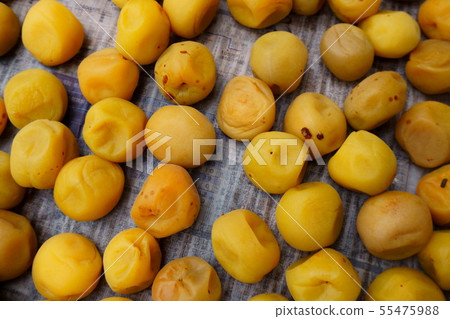 Sun-dried Umeboshi in July Sun-dried Umeboshi in July 55475988