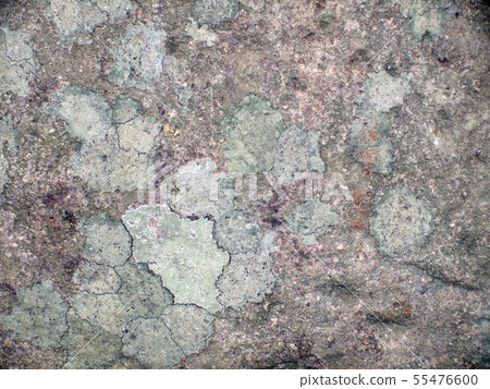 cracked floor texture cracked floor texture 55476600