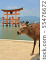 Deer of Miyajima Itsukushima Shrine 55476672