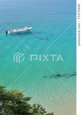 Kuwajima Kochi的海 Kuwajima Kochi的海 55476686