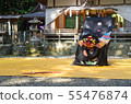 Ueno's Lion Dance Sword Dance (Wakayama Prefecture Designated Intangible Folk Cultural Property Tomisato Kasuga Shrine) 55476874