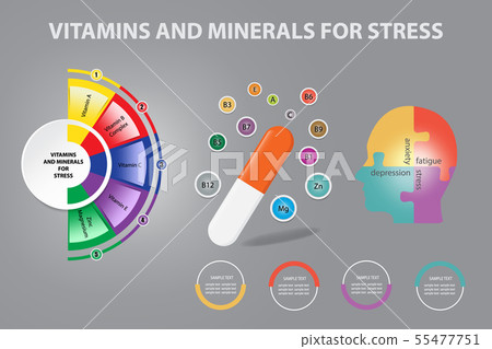 Infographic vector showing vitamins and minerals Infographic vector showing vitamins and minerals 55477751