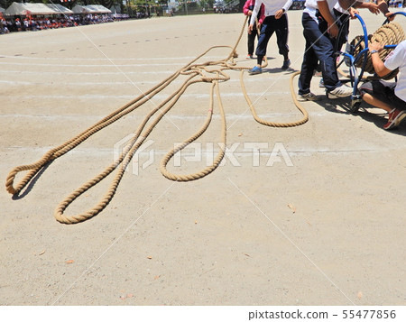 Sports day  55477856