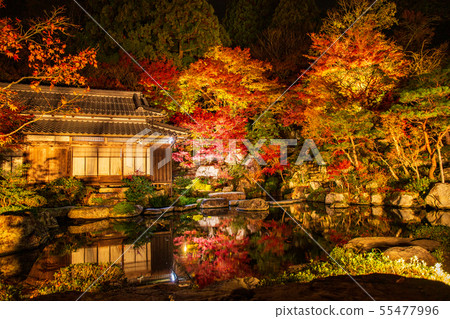 Autumn Shiga Koto Sanzan Hyakusaiji Illuminated Honbo Kimiin 55477996
