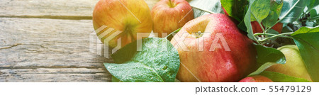 Fresh apple with green leaves from garden 55479129