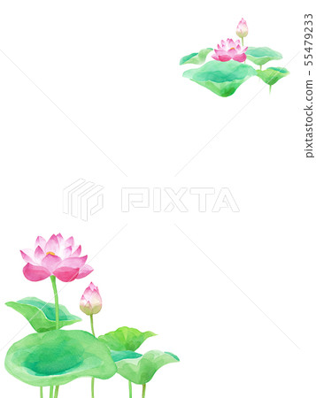 蓮花裝飾白色背景水彩例證 蓮花裝飾白色背景水彩例證 55479233