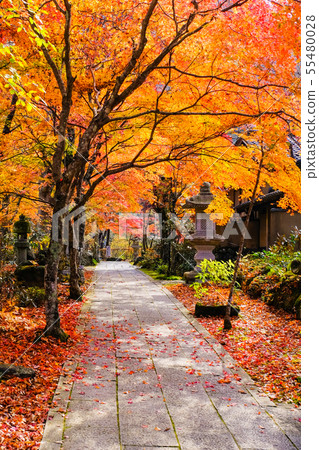 Yamamoto Fudoson (Autumn) 55480028