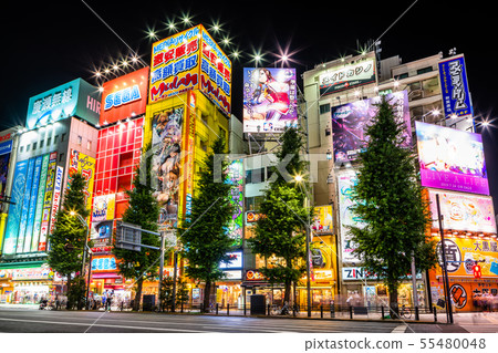 東京秋葉原夜間電動街 東京秋葉原夜間電動街 55480048