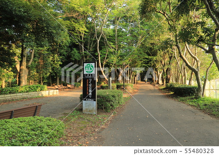 Tsukuba公園街筑波市 55480328