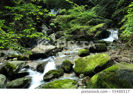 To Hakusui Waterfall (Shiramizu no Taki) [Itatori, Seki City, Gifu Prefecture] 55480517