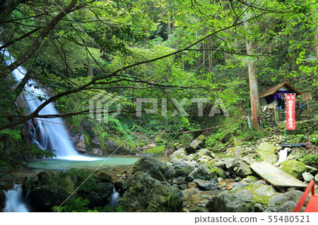 到白水瀑布（白水瀧）[岐阜縣關市板取] 55480521