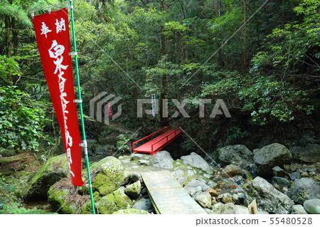 To Hakusui Waterfall (Shiramizu no Taki) [Itatori, Seki City, Gifu Prefecture] 55480528