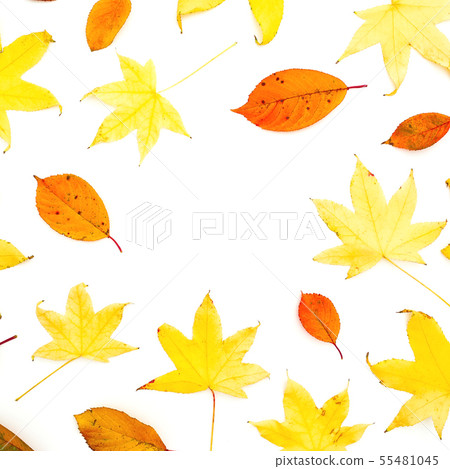 Autumn frame with fall leaves on white background. 55481045