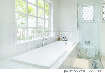 Bathroom house interior image 55482390