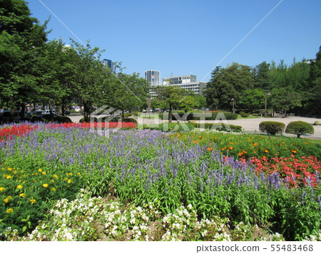 Around Sendai Station Aoba Ward Gotodai Park 55483468