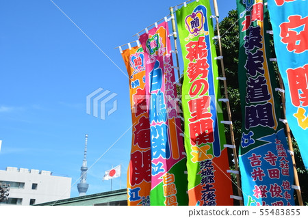 Sumo wrestling Sumo wrestling 55483855