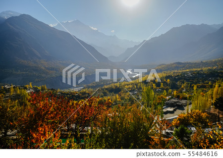 Colorful foliage in autumn against mountain range. 55484616