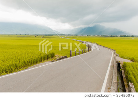 Taitung Chihshang, Burlang Avenue, Paddy Field, Chihshangmi, Golden Gate, Taitung, Brown Avenue, Taiwan 55486072