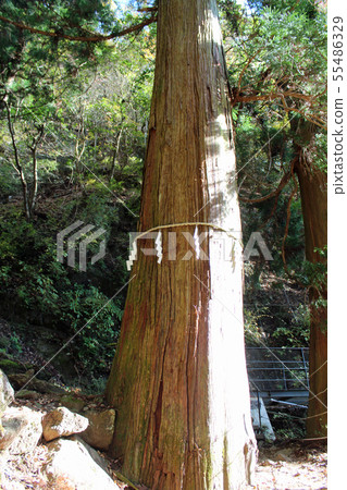 Oyama Amuri Shrine Double Company Gokamiki Oyama Amuri Shrine Double Company Gokamiki 55486329