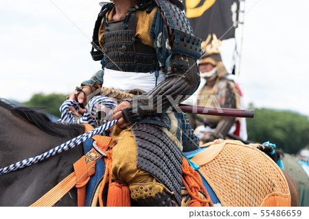 Cavalry warrior 55486659