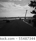 一條路 55487344