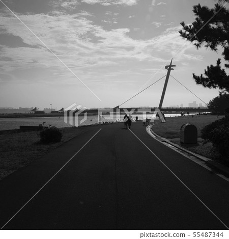 一條路 55487344