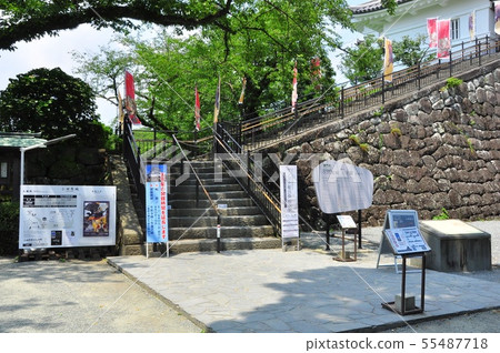 Townscape of Odawara The castle entrance of Odawara Castle Tenshukaku 55487718