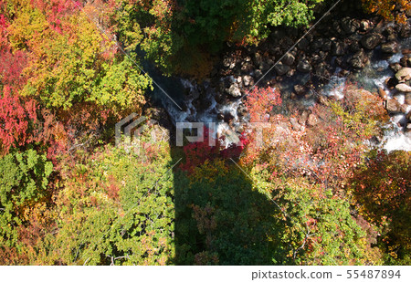 Autumn leaves in the valley Autumn leaves in the valley 55487894