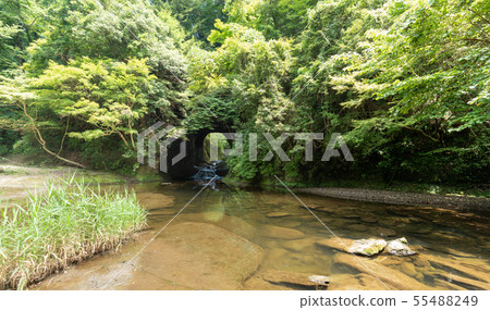 Kameya洞穴 55488249