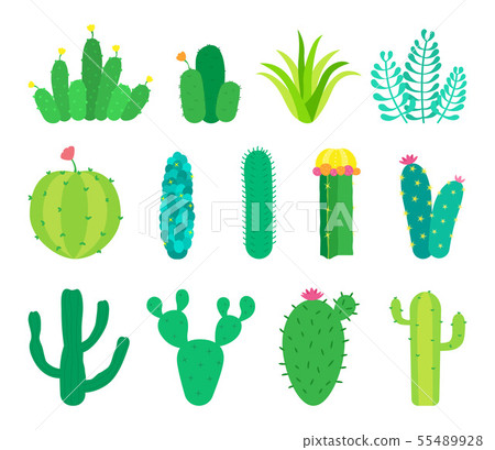 Vector set of cactuses and succulents 55489928