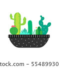 A pot with differents cacti and succulents. 55489930