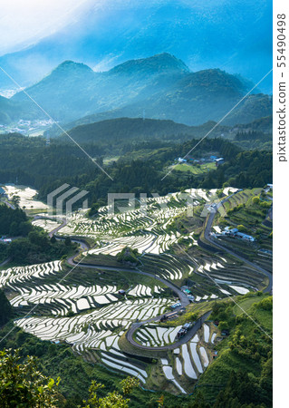 Maruyama Senjita Maruyama Senjita 55490498