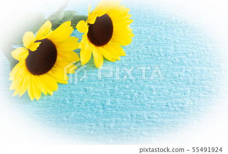 Sunflower background material summer Sunflower background material summer 55491924