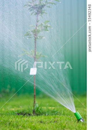 Watering the green grass lawn with a sprayer  55492348