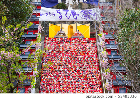 Katsuura Big Hina Matsuri(千葉縣勝浦市,陰陽神社)2019年2月 Katsuura Big Hina Matsuri(千葉縣勝浦市,陰陽神社)2019年2月 55493336