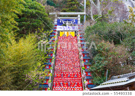 Katsuura Big Hina Matsuri(千葉縣勝浦市,陰陽神社)2019年2月 Katsuura Big Hina Matsuri(千葉縣勝浦市,陰陽神社)2019年2月 55493338